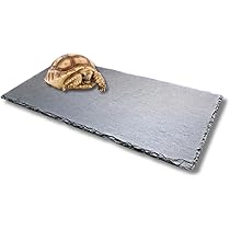 【亀 】ページ　　リクエスト商品のため スペシャルオープンチャット認定バッジ | LINEオープンチャット